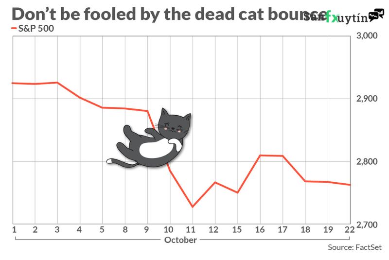 Các trader day rất yêu thích Dead cat bounce vì nó giúp họ kiếm được lợi nhuận nhanh