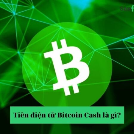Tiền điện tử Bitcoin Cash là gì – 5+ sàn giao dịch hàng đầu
